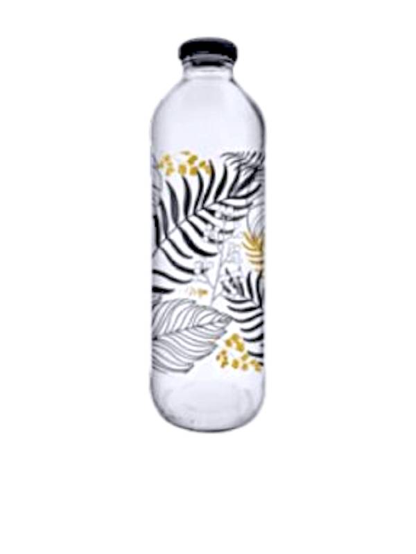 Botella Jugo X 910 C/Tapa